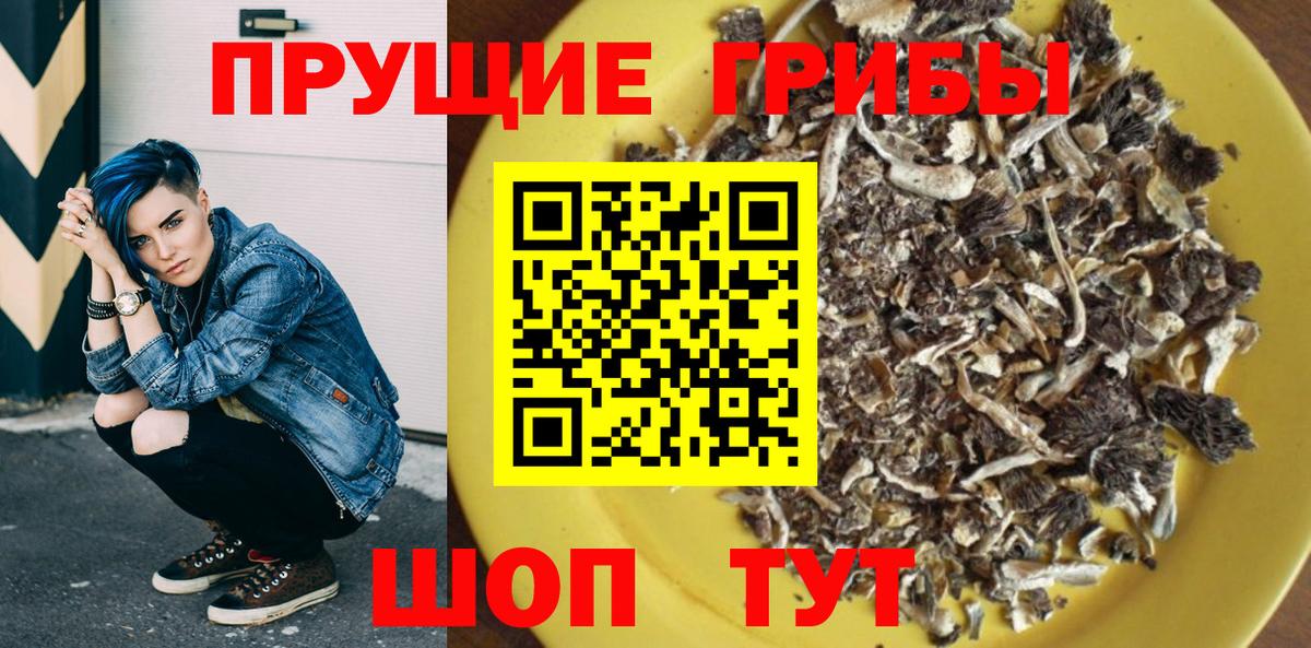 где купить   Галлюциногенные грибы прущие грибы  Псилоцибиновые грибы Psilocybe  Вход с VPN  Шатура 