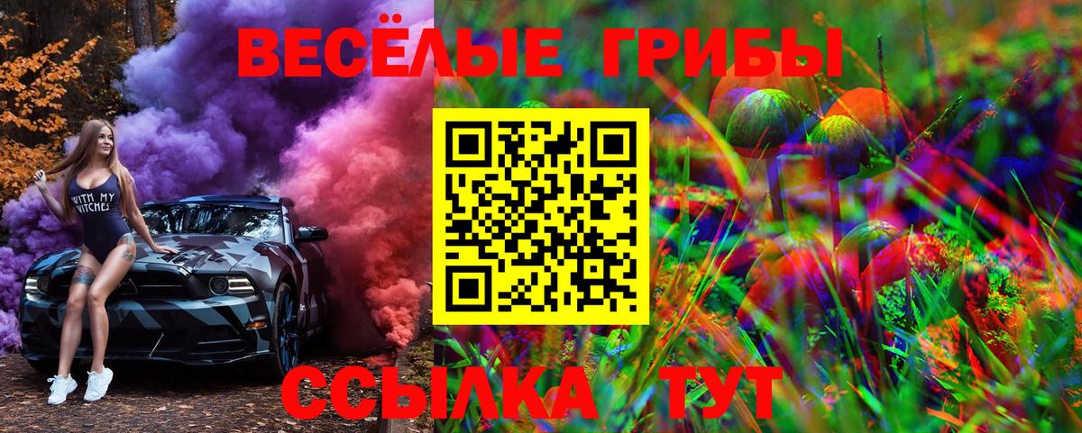 Галлюциногенные грибы MAGIC MUSHROOMS Шатура